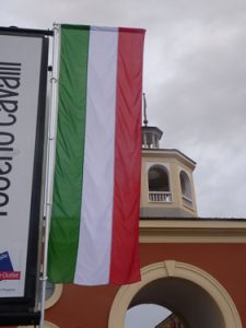 McA-tricolore-vert